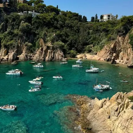 Apartment Penthouse Blanes